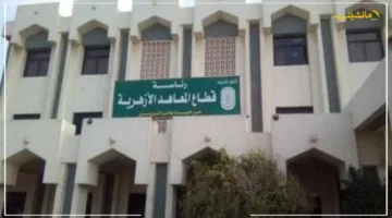 بشرى سارة لـ 964 متخصصًا.. الأزهر يفتح باب التقديم لوظائف معلم مساعد حاسب آلي اعرف الشروط وكيفية التقديم 1